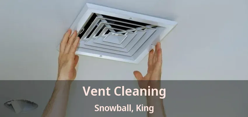 Vent Cleaning Snowball, King - ON