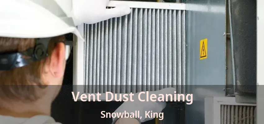 Vent Dust Cleaning Snowball, King - ON