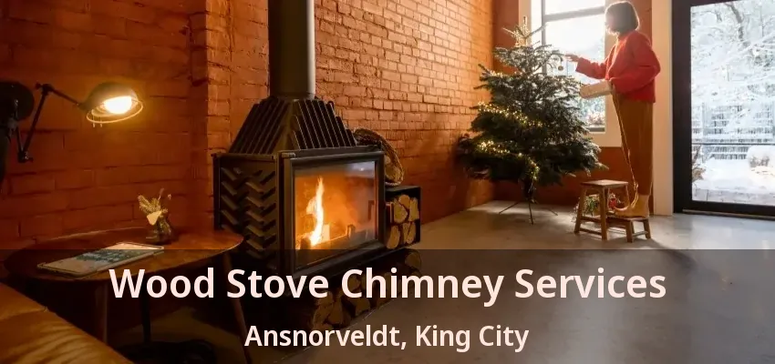Wood Stove Chimney Services Ansnorveldt, King City - ON