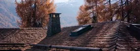 Chimney Animal Removal King