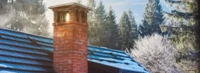 Chimney Blockage Removal King