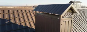 Chimney Cap Services King