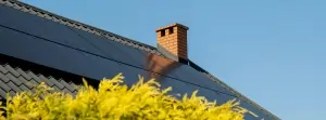 Chimney Sweep King